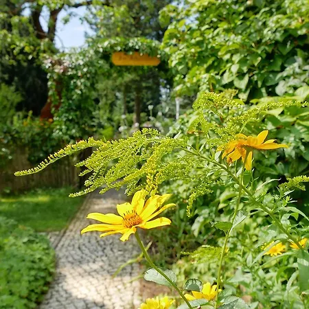 Haus Friederike Bad Saarow